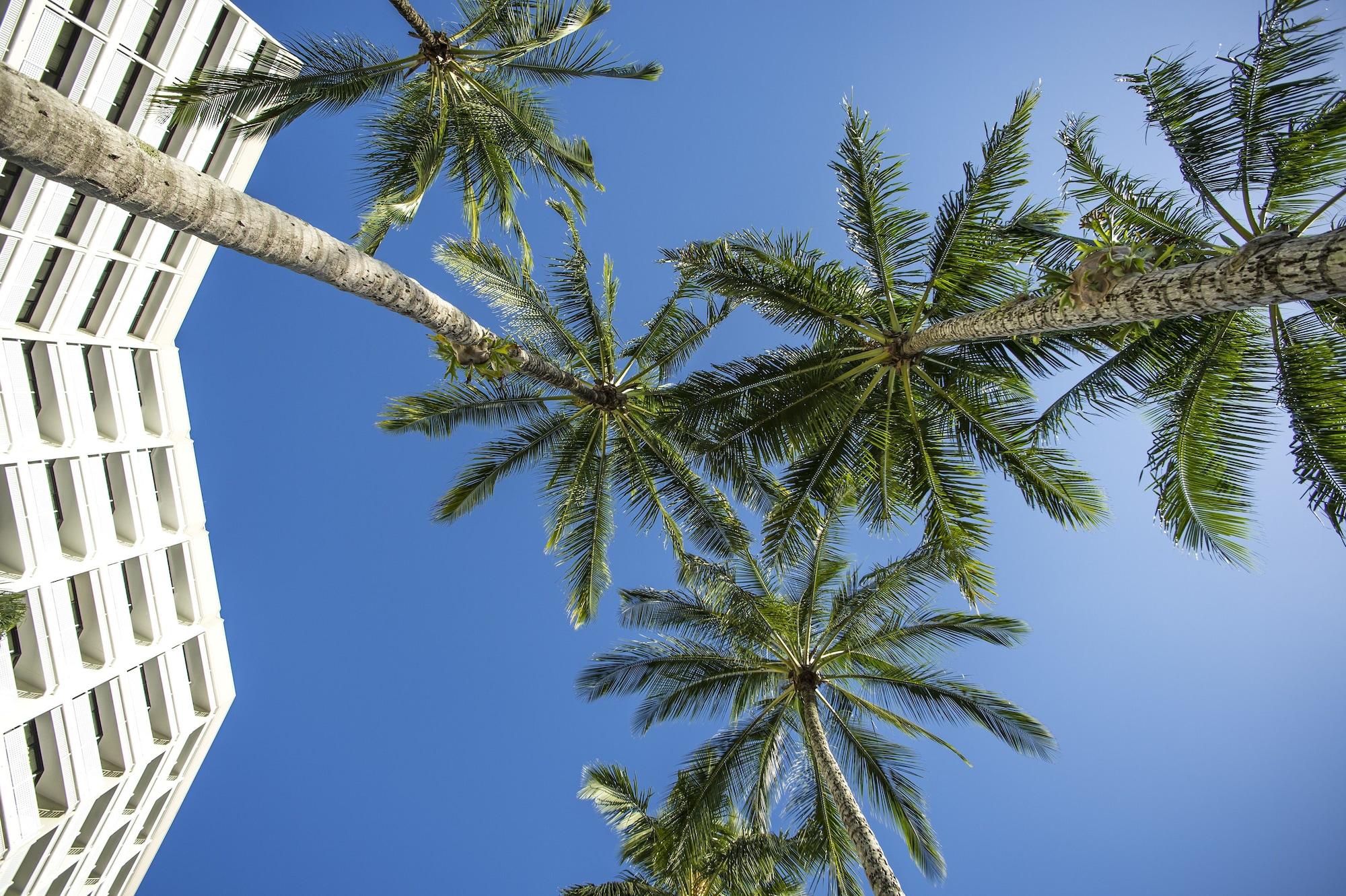 Rydges Esplanade Resort Cairns Exterior foto